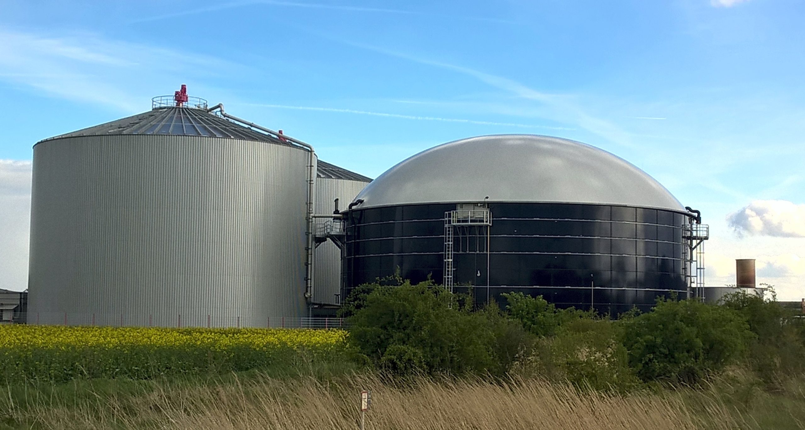 Using molecular media for biogas processes